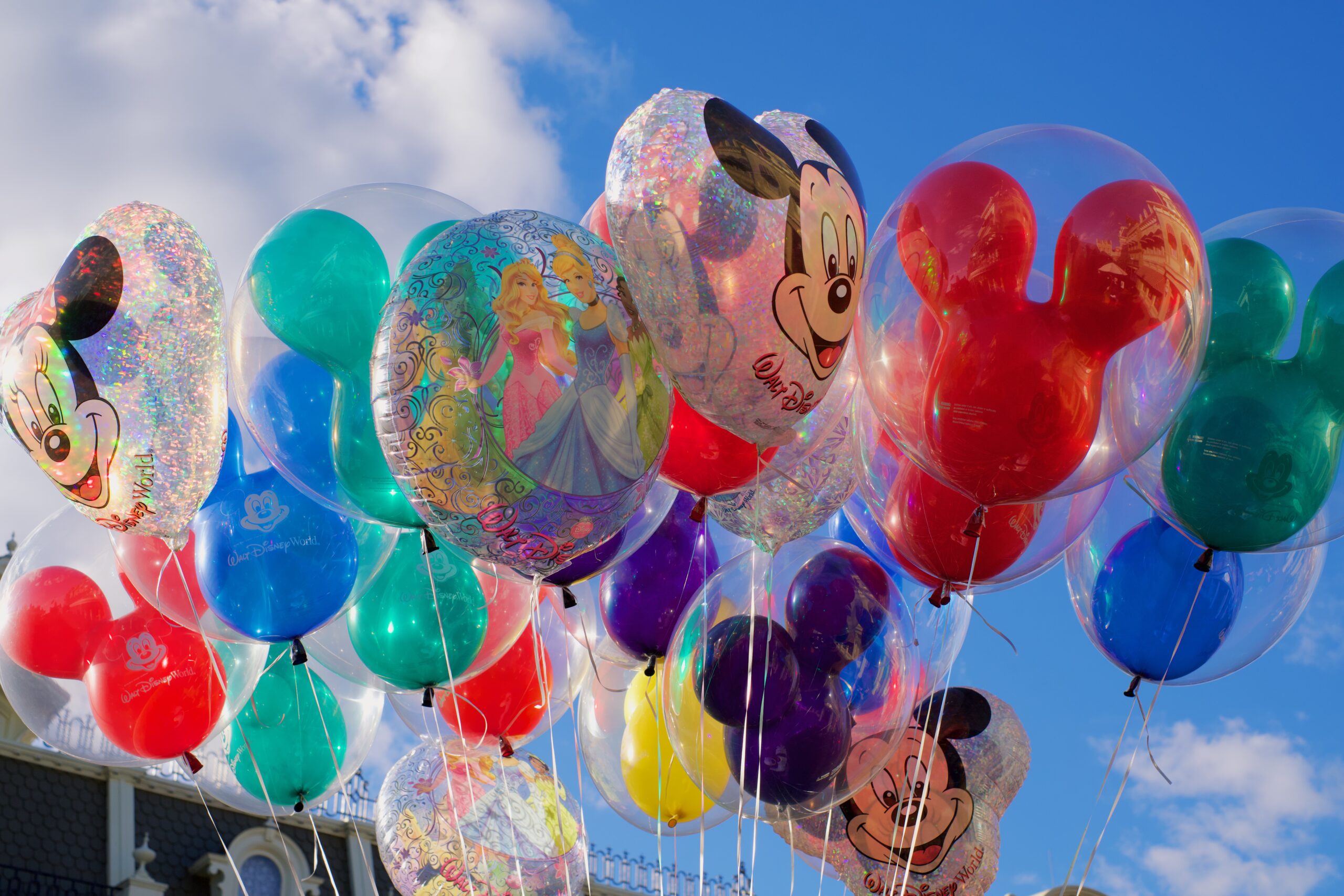 Disney Adventure - Brian McGowan